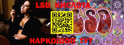 дмт Кандалакша