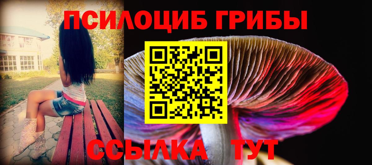Галлюциногенные грибы мухоморы Кулебаки